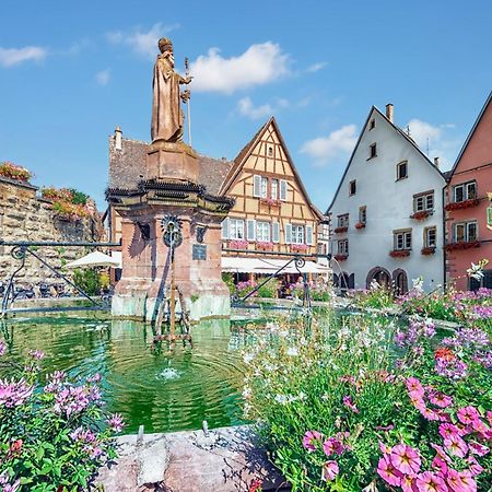 Hotel Colmar Vignes Eguisheim Exteriér fotografie