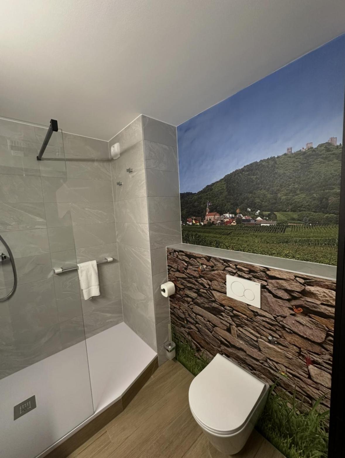 Hotel Colmar Vignes Eguisheim Exteriér fotografie